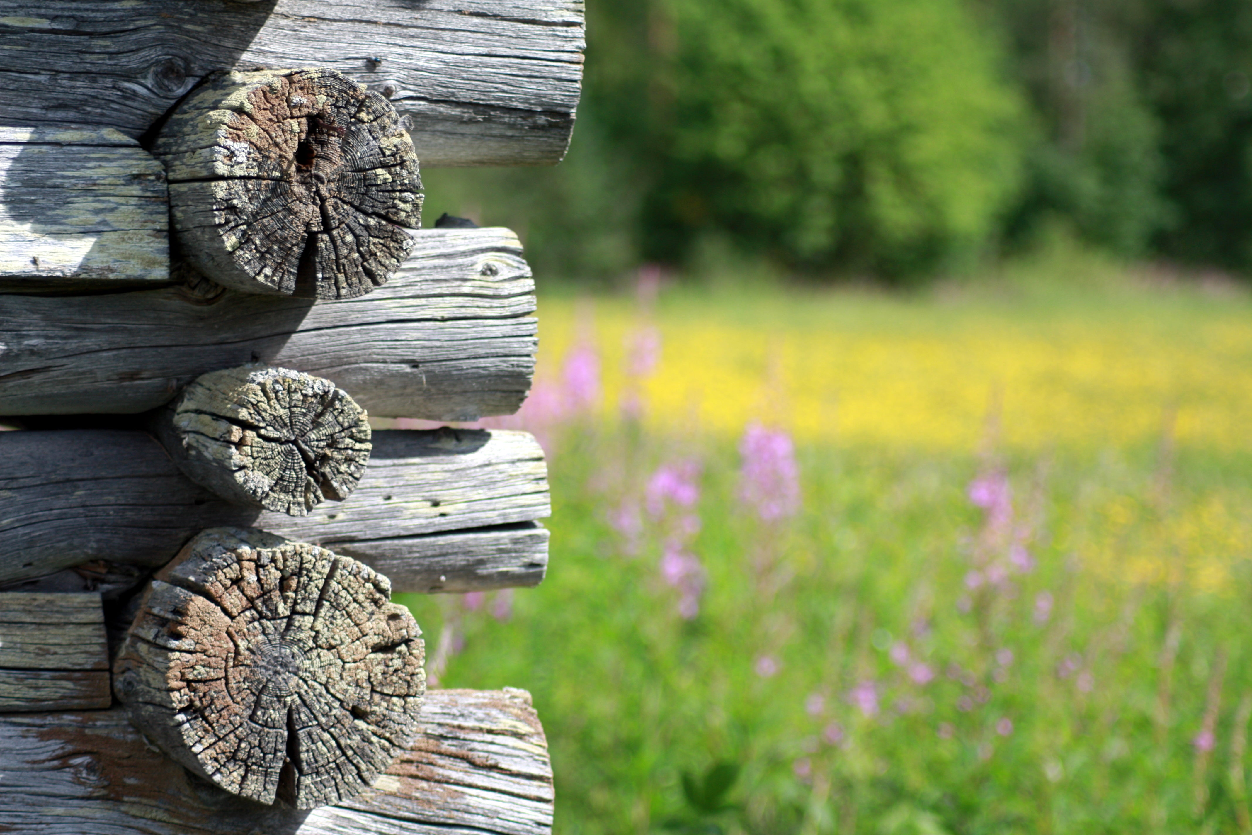 Juhannussauna - tässä viisi vinkkiä tunnelman luomiseen